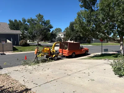 Farr Arbor crew chipping debris during tree removal Meridian Village Parker CO