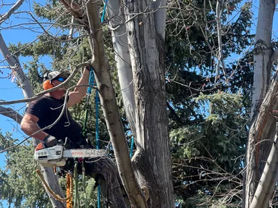 Clearance trimming near structure Parker