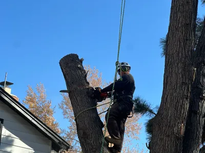 Storm damage cleanup Parker CO